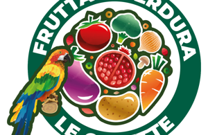 logo%20mercato%20delle%20carni%20copia.jpeg logo%20mercato%20delle%20carni%20copia.jpeg