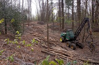 utilizzazioni forestali