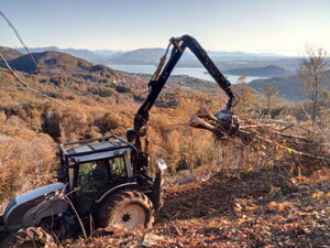 Lavori forestali