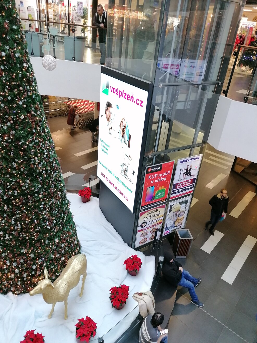 img_20191209_095316.jpeg