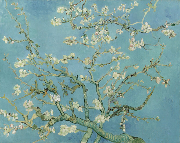 vincent_van_gogh_-_almond_blossom_-_google_art_project.jpeg