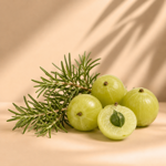 maschera-amla-botanical-restore-250ml-per-capelli-sfibrati-e-opachi-con-rosmarino-e-amla