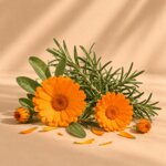 shampoo-detersione-stimolante-250ml-con-calendula-e-rosmarino-per-capelli-fragili-e-soggetti-a-caduta