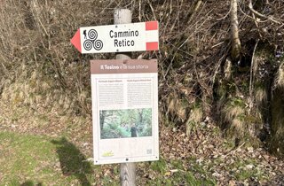 img_5733.jpeg