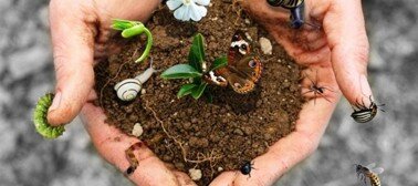Agricoltura sostenibile e microrganismi