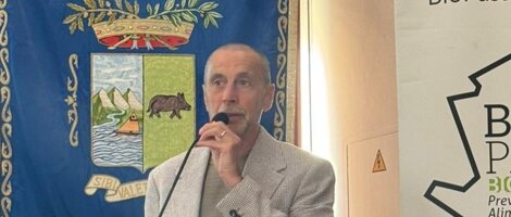 annunziata%20taccone.jpeg