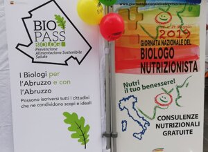 gnbn2019