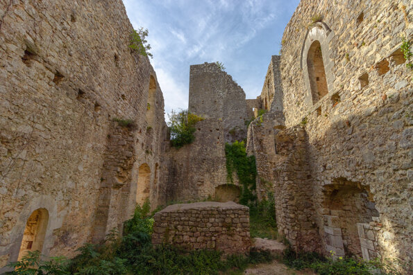 adobestock_234747611.jpeg