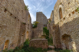 adobestock_525934659.jpeg