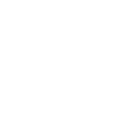 logo bianco