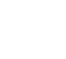 logo bianco