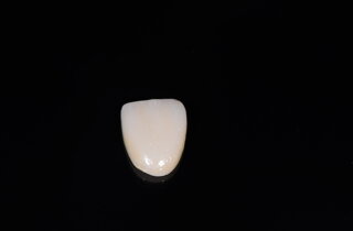 dsc_1292.jpeg