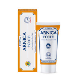 POMATA ARNICA POMATA ARNICA