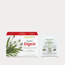 INFUSI THE E TISANE
