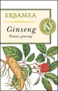 ginseng-x-cat.jpeg