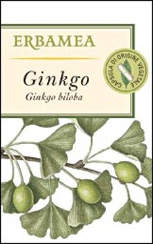 ginkgo-x-cat (1).jpeg