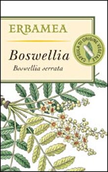 boswellia-x-cat.jpeg boswellia-x-cat.jpeg