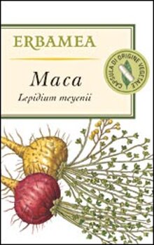 maca-x-cat.jpeg maca-x-cat.jpeg