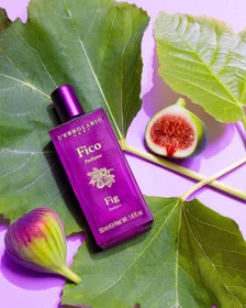 collection-fico-01 collection-fico-01