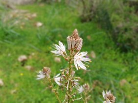 img_20180220_122317.jpeg