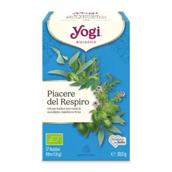 INFUSI THE E TISANE