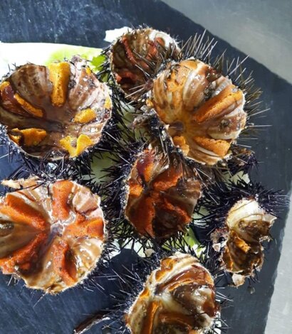 Ristorante La Tabernula | San Possidonio | Ricci di mare