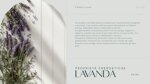 smudge-artemisia-e-lavanda
