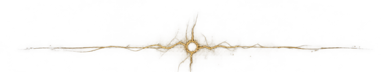 01_divider_raw_branch