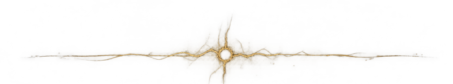 01_divider_raw_branch