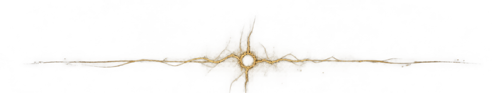 01_divider_raw_branch