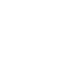 sonorus arts institute- logo (white)