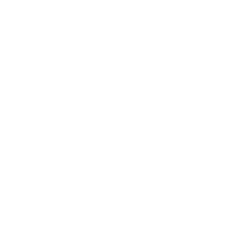 sonorus arts institute- logo (white)