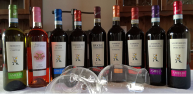 amelio livio1