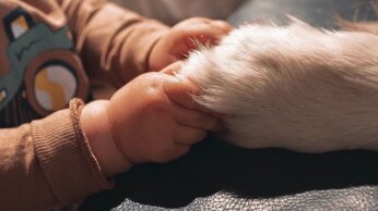 Cucciolo e bimbo | Emma' Family | Educazione cinofila