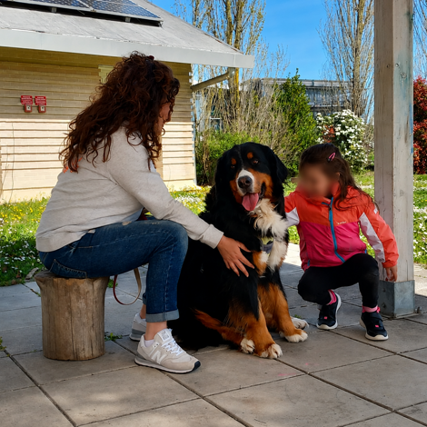 Scuole elementari | Amico del Cane | Emma's Family