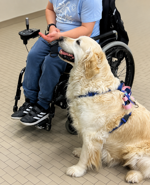 Emma's Family | Pet Therapy | ConTatto 