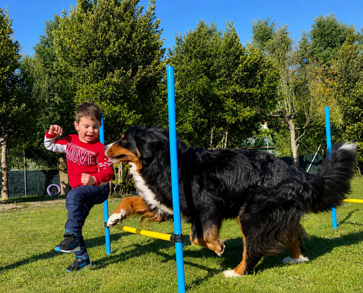 Scuole primarie | Amico del Cane | Emma's Family