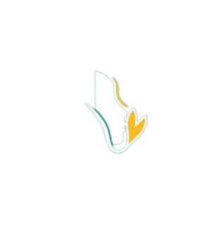 image (4)