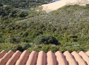 pano_20221021_131923.jpeg