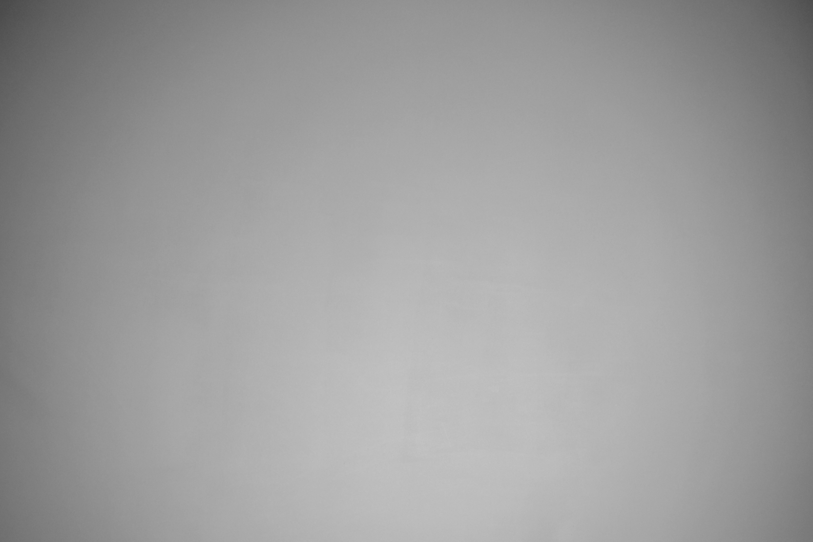 infografica chi siamo 1