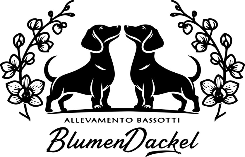 logo blumendackel - little.jpeg