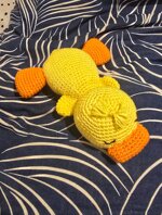 papero-che-dorme-a-pancia-in-giu