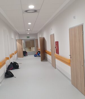 20240409_125130.jpeg