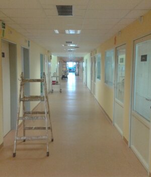 20160512_102246.jpeg
