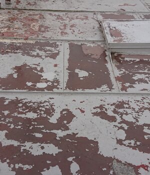 dsc_1493.jpeg