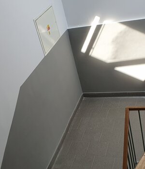 20230717_133256.jpeg