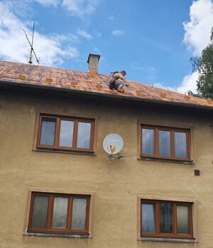 20240527_130245.jpeg