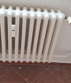 20250708_091140.jpeg