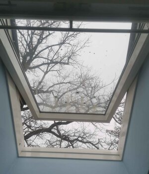 img_20260324_162316.jpeg