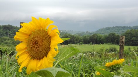 img_20160702_190639.jpeg